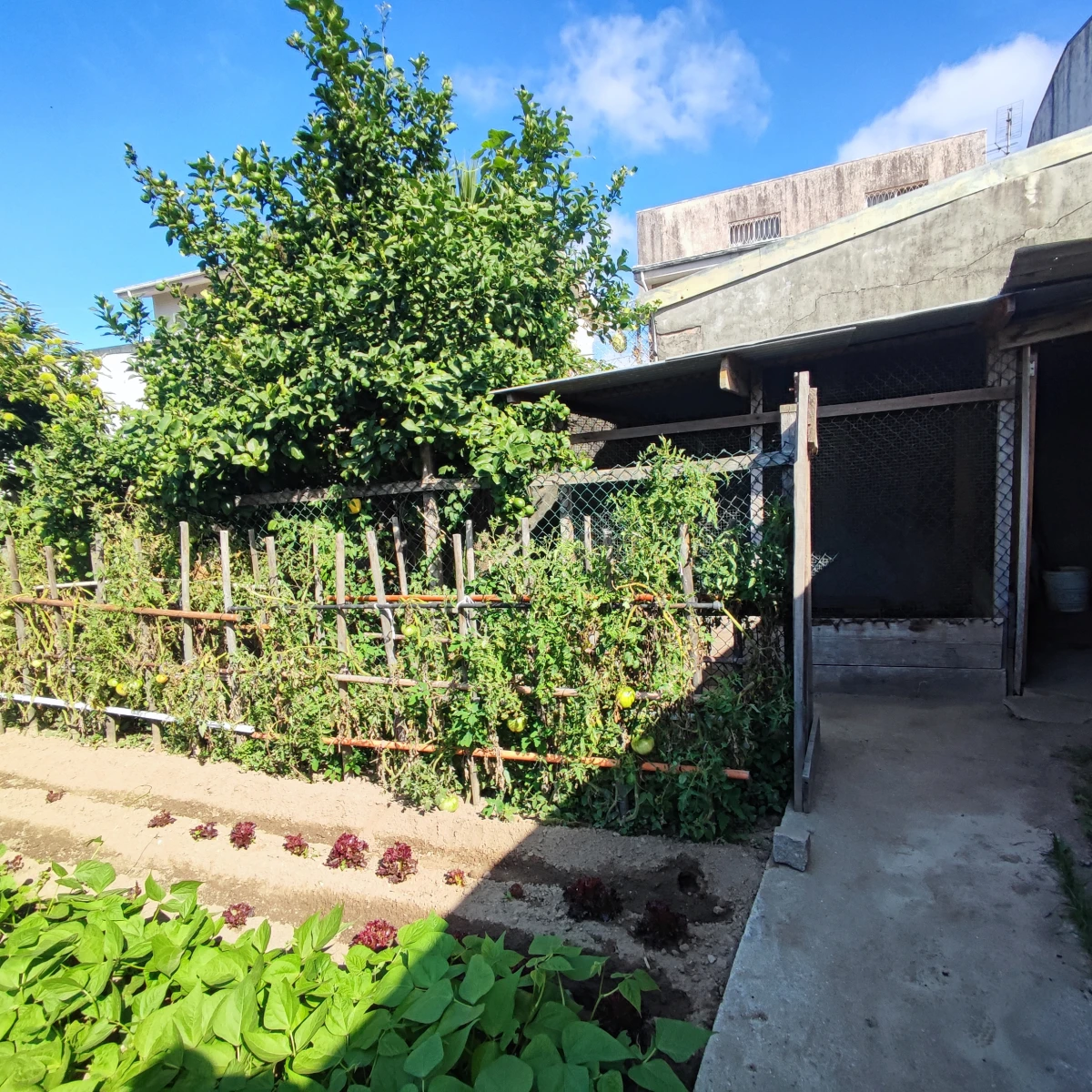 GR Negócios Imobiliários - terreno para novo projeto Canelas, Gaia terreno com casinha e capacidade construtiva para moradia de 170m2 (ABC e AI); 
zona calma e sossegada com muita privacidade e acesso privilegiado  ao centro;