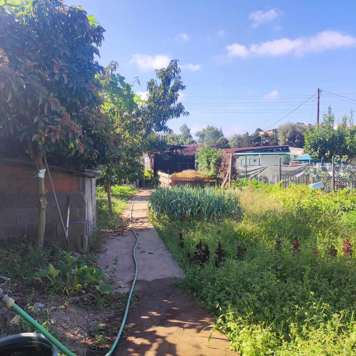 GR Negócios Imobiliários - terreno para novo projeto Canelas, Gaia terreno com casinha e capacidade construtiva para moradia de 170m2 (ABC e AI); 
zona calma e sossegada com muita privacidade e acesso privilegiado  ao centro;