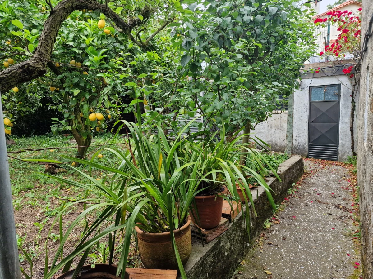 GR Negócios Imobiliários - moradia para reconstruçao Casa isolada, térrea em pedra cuja área de implantação é de 96m2, para reconstrução; inserida em terreno com 560m2; central mas zona muito pacata e sossegada; ótimos acessos.