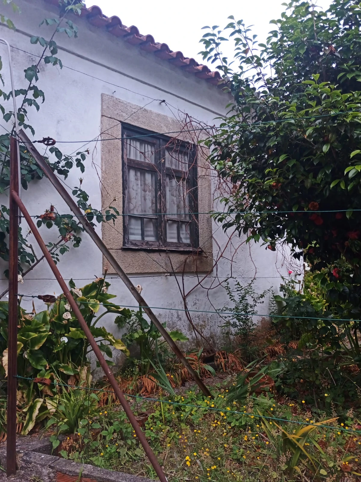 GR Negócios Imobiliários - moradia para reconstruçao Casa isolada, térrea em pedra cuja área de implantação é de 96m2, para reconstrução; inserida em terreno com 560m2; central mas zona muito pacata e sossegada; ótimos acessos. GR Negócios Imobiliários - moradia para reconstruçao Casa isolada, térrea em pedra cuja área de implantação é de 96m2, para reconstrução; inserida em terreno com 560m2; central mas zona muito pacata e sossegada; ótimos acessos.